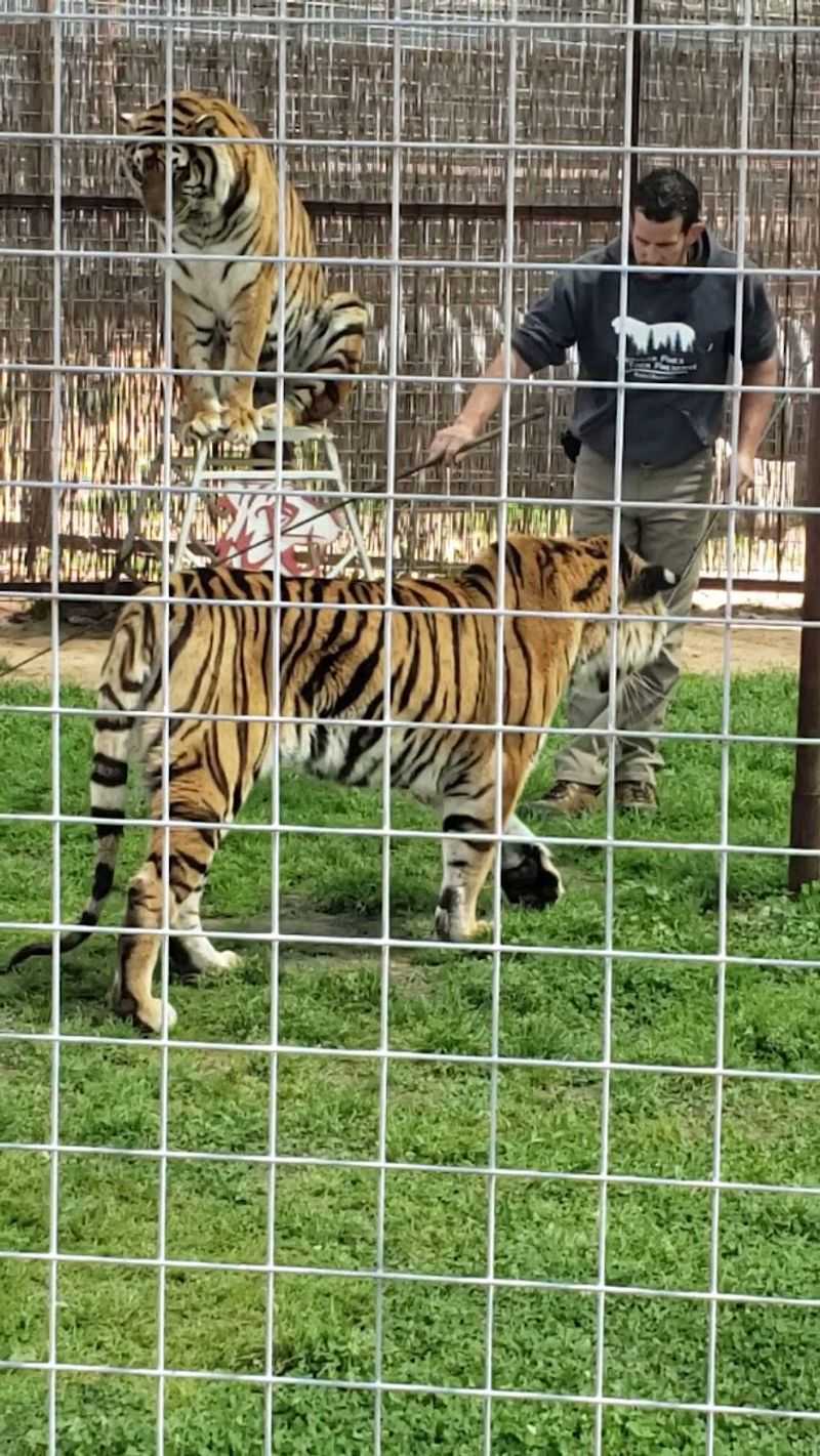 Conservation and the Bigger Mission