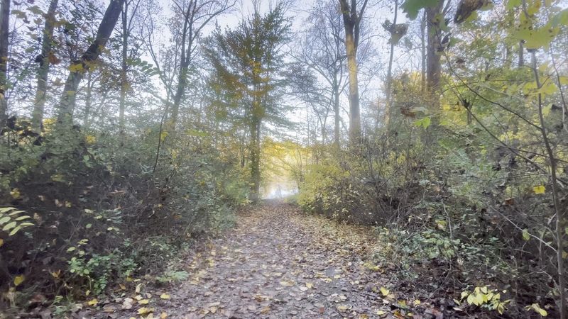 Trail Conditions Across the Seasons