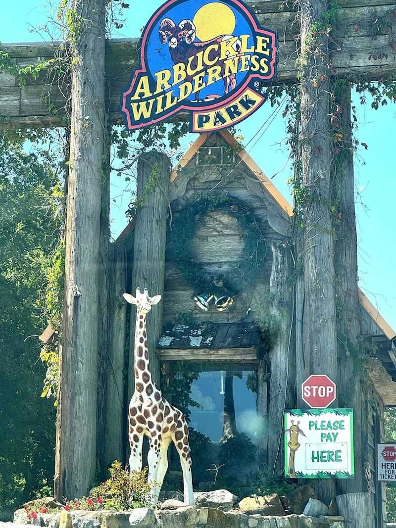 The Gift Shop and Ticketing: Your First Stop Inside