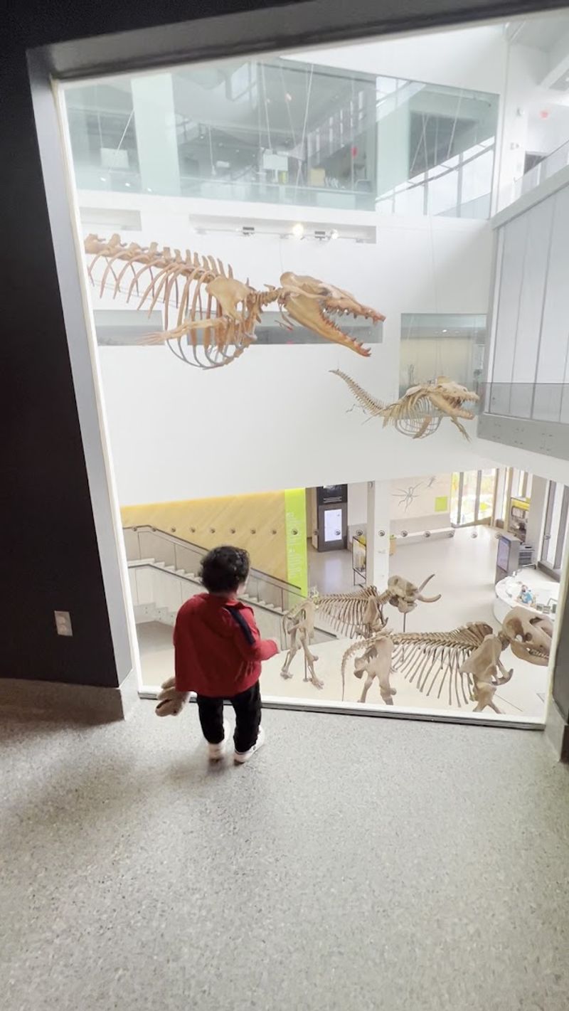 The Planetarium and Dome Theater: A Cosmic Add-On Worth Knowing About