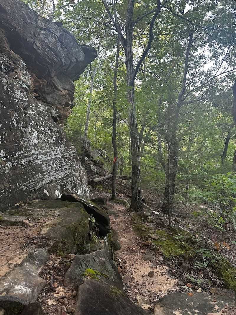 Wildlife and Nature Watching Along the Paths