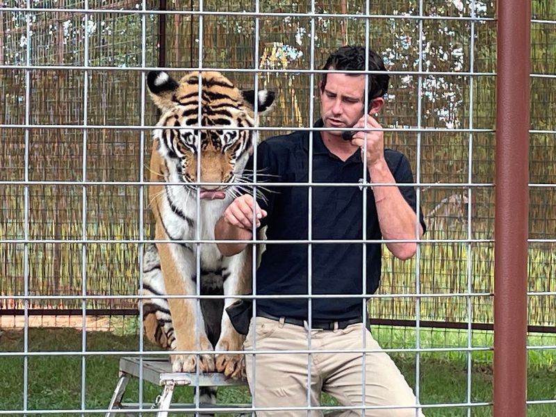 Meeting the Tigers Up Close