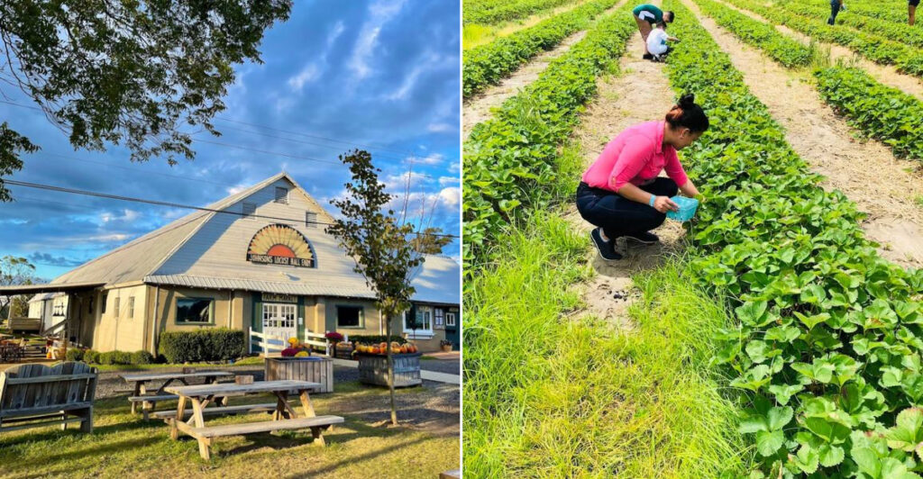 The Family-Friendly New Jersey Farm That Turns Berry Picking Into a Mini Getaway