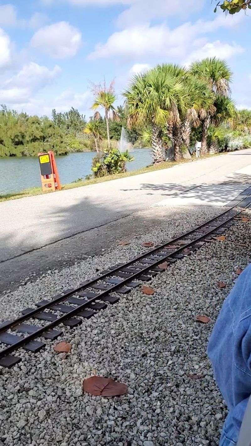 Spotting Wildlife Along the Route