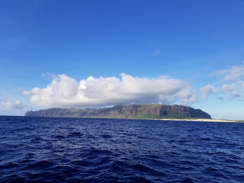 Wildlife and Nature on the Island