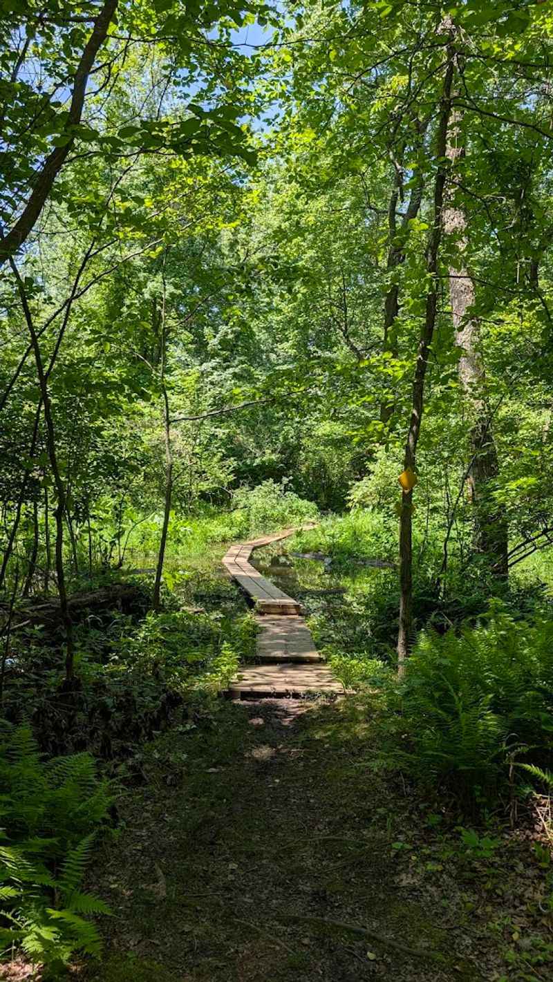 A Trail Network That Keeps Surprising You