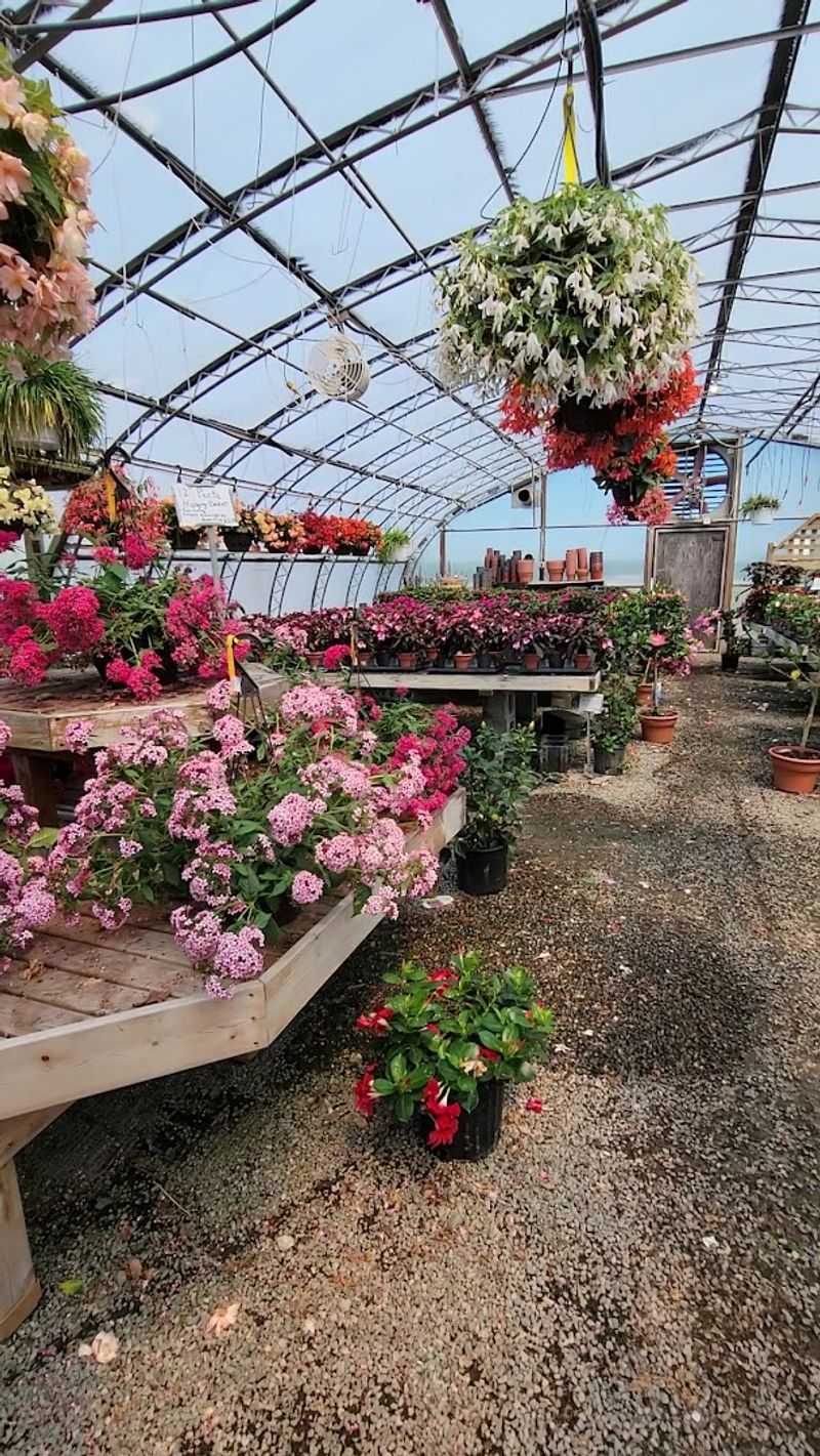The Greenhouse and Flower Fields
