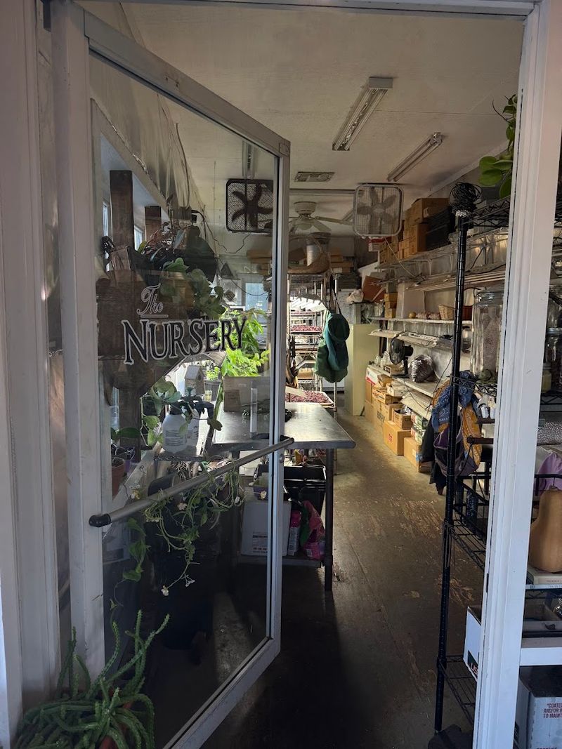 Walking the Gardens Before You Even Sit Down