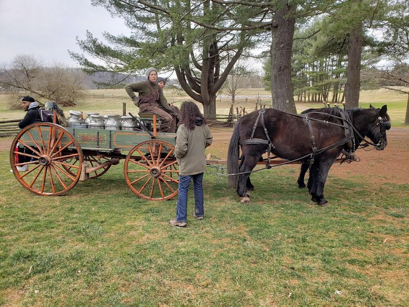 Costumed Staff Who Actually Know Their Stuff