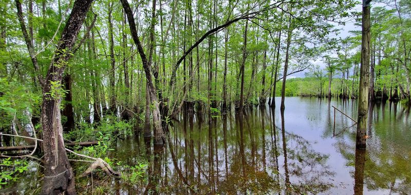 A Landscape That Defies Easy Description