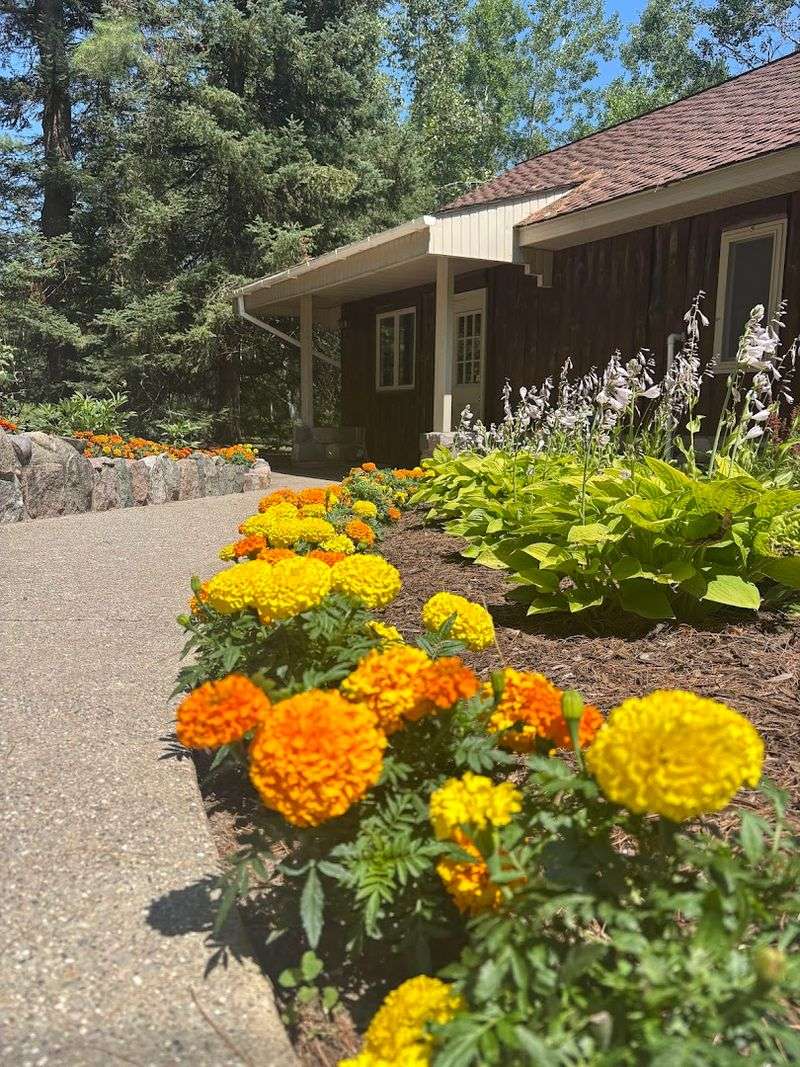 The Carrington House and Its Surprisingly Generous Amenities