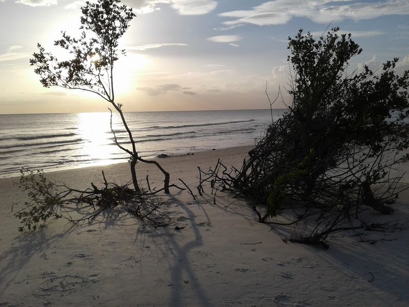 Best Times to Visit and What to Expect