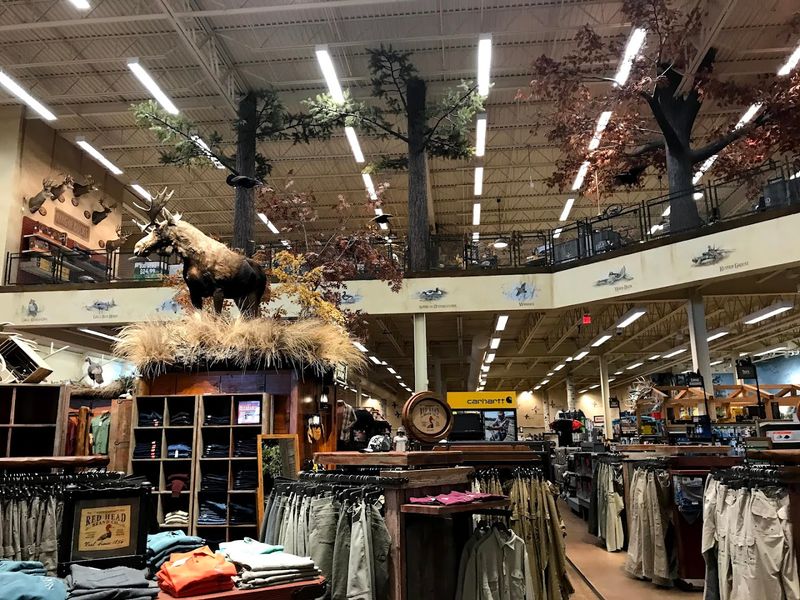 Nature Scenes Built Right Into the Store