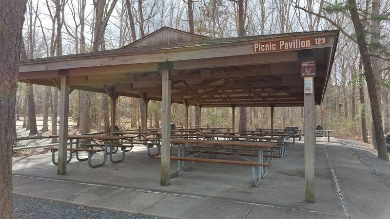 Picnic Areas: Built for Groups, Comfortable for Everyone