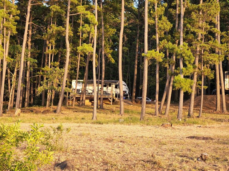 Camping Options for Every Style of Outdoor Traveler