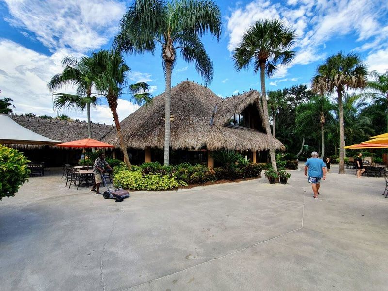 Private Cabanas and Upgraded Comfort Options