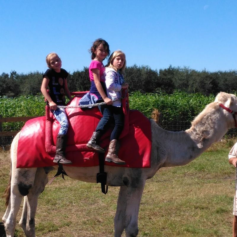 Birthday Parties and Private Events