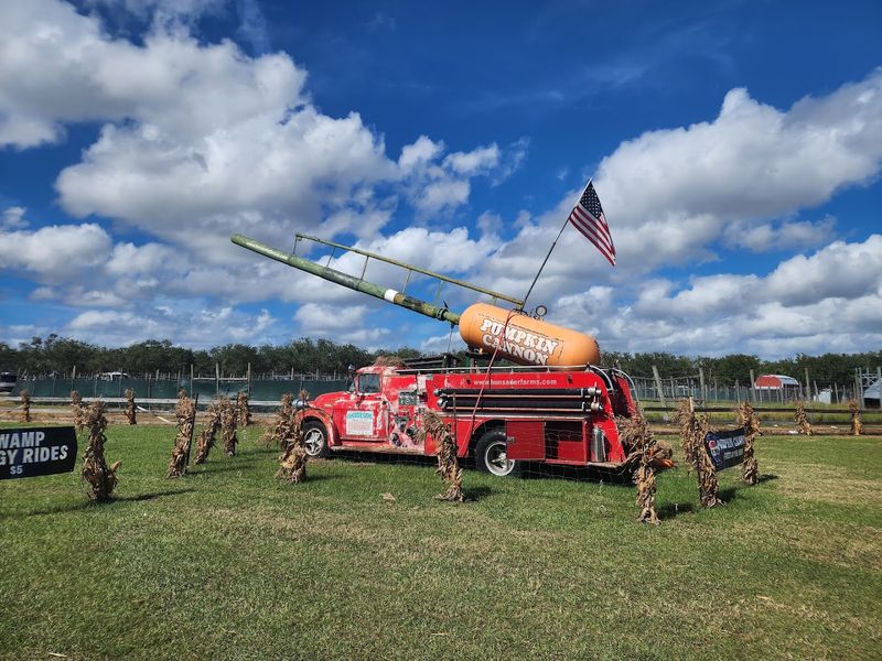 Hayrides, Corn Maze, and Seasonal Activities