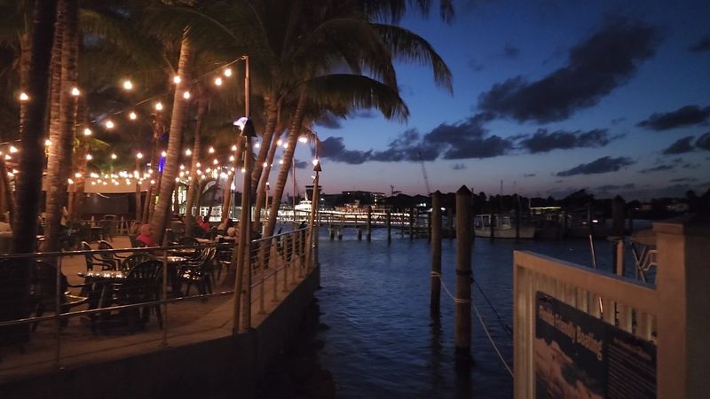 The Two Resident Cats Nobody Tells You About