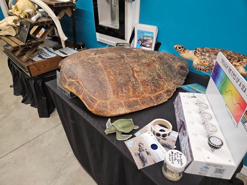 Corn Snakes, Leopard Geckos, and the Problem with Pet Releases