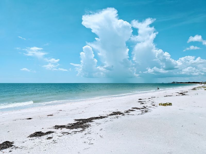 Entry Fees and Annual Pass Options