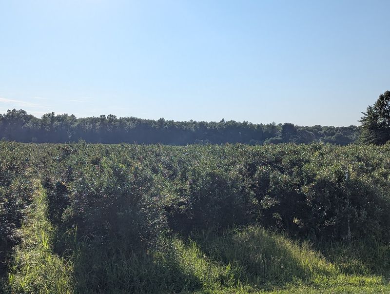 The address worth saving