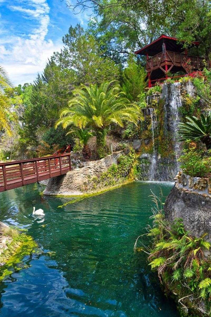 Water Everywhere You Look