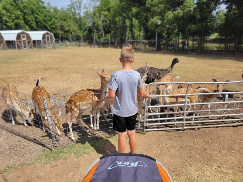 Ticket Options, Pricing, and What Each Package Includes