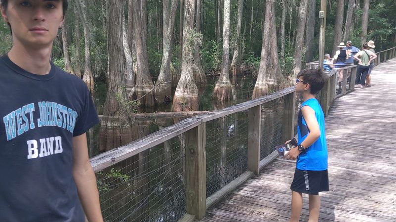 The Nature Trails: Boardwalks, Swamps, and Ancient Cypress Trees