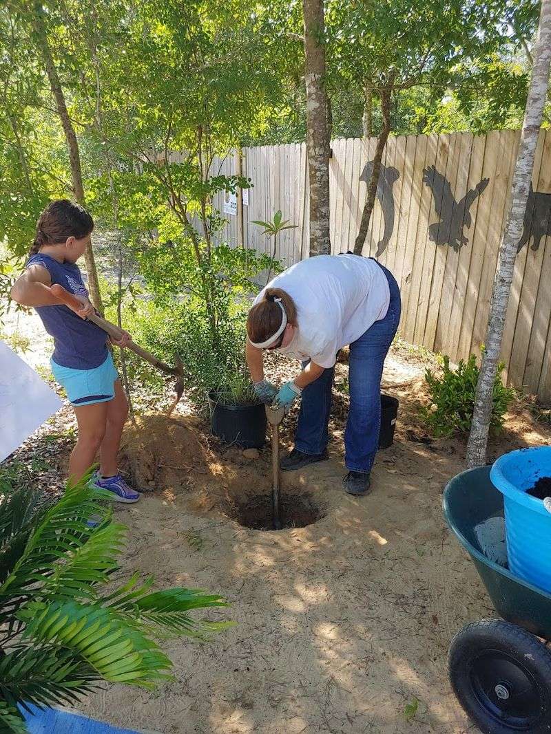 Admission Prices, Hours, and What to Expect on Your Visit