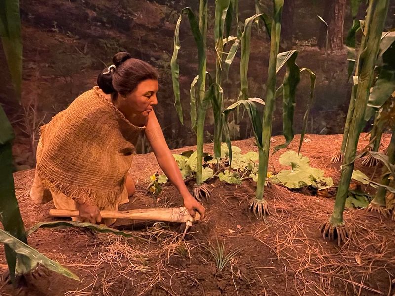 Language Preservation: Keeping Choctaw Alive for Future Generations