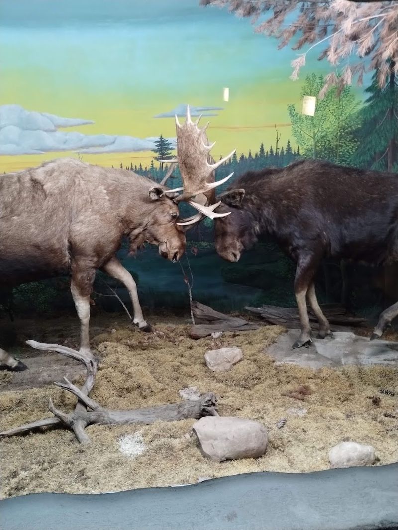 Bavarian Falls Park: Go-Karts and Mini Golf Right Next Door