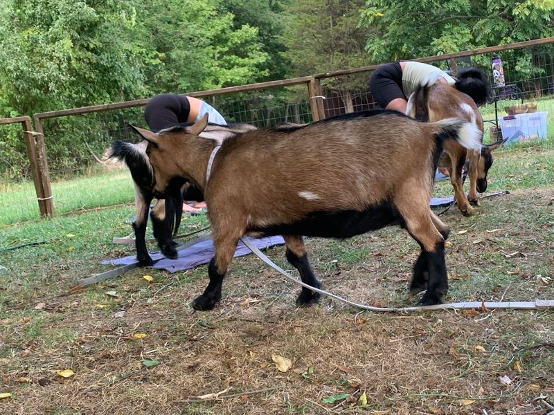 A Spot for Special Occasions