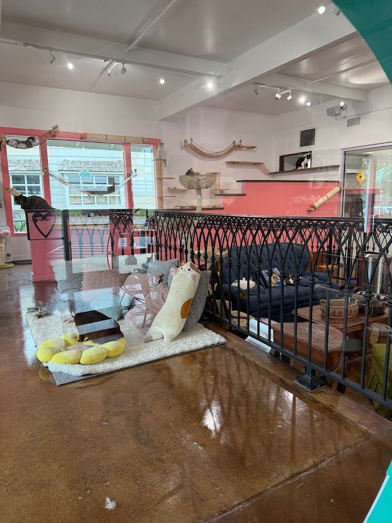 The Atmosphere and Interior Design Throughout the Cafe