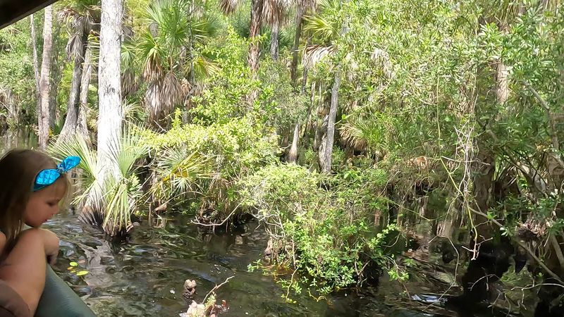 Best Times to Visit and What to Expect Seasonally