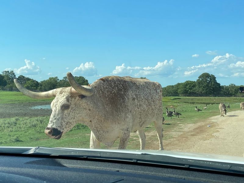 Hours, Pricing, and Planning Your Visit