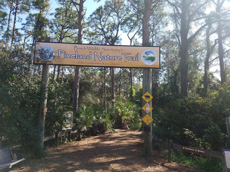 Tips for Planning Your Visit