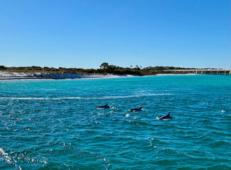 Best Times to Go and What to Expect Year-Round