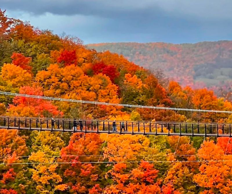 Fall Foliage Views That Make the Whole Trip Worth It