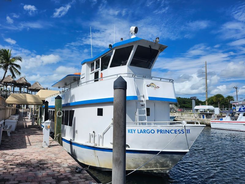 Pricing, Value, and What You Get for Your Money