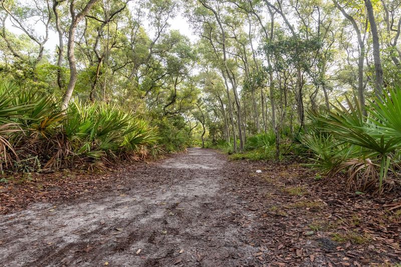 What to Pack for a Comfortable Visit