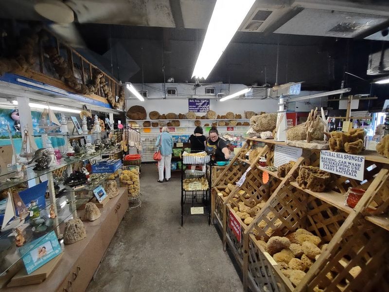 Sea Treasures and Oddities Caught in the Nets