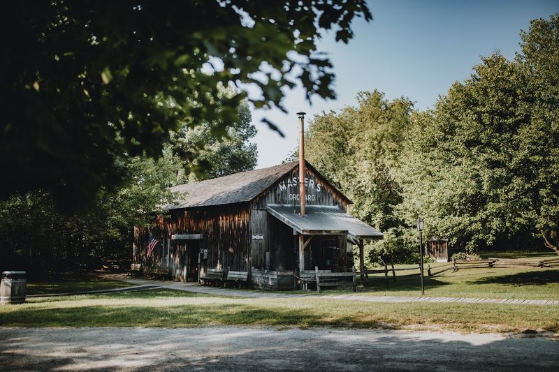 Food, Snacks, and What to Expect from the Dining Options