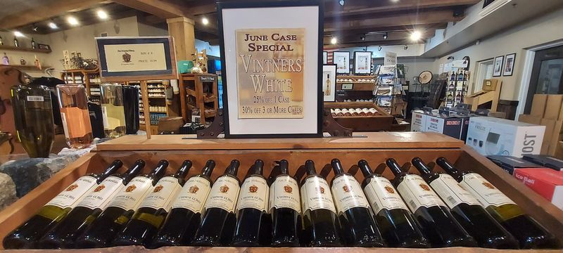 Florida Grapes and What Makes Them Unique