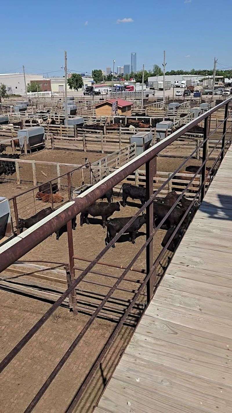 The Scale of the Operation Up Close