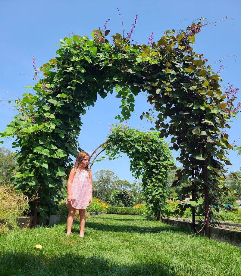 Kids Dig Zone and Family Activities