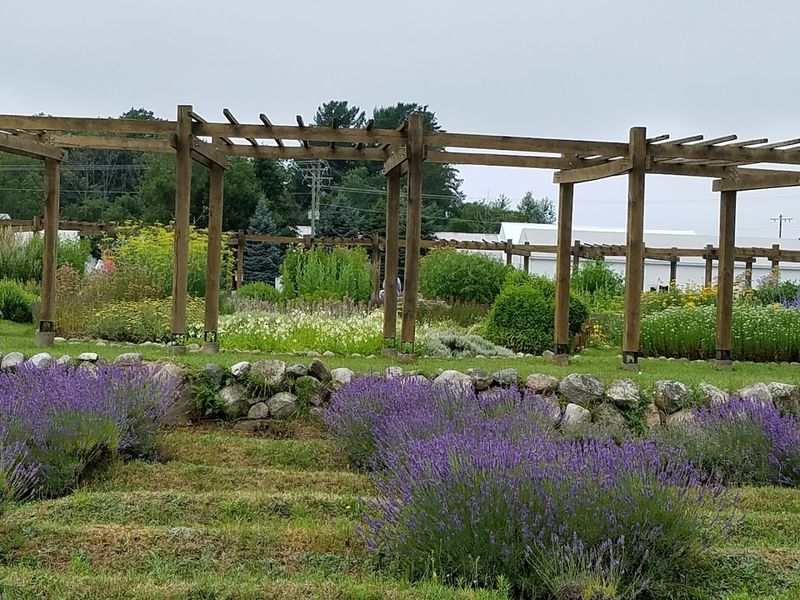 Practical Tips for Planning Your Visit