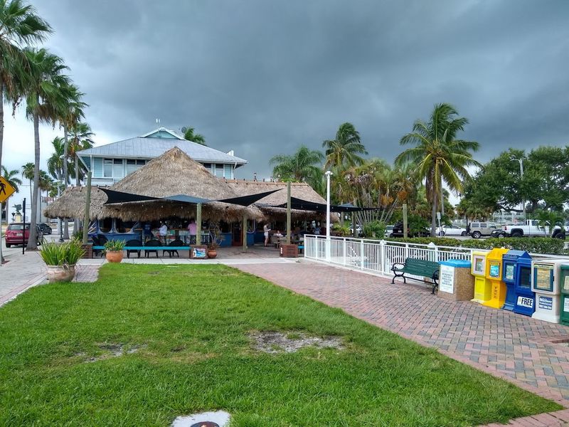 Fresh Seafood and Local Dining Worth Seeking Out