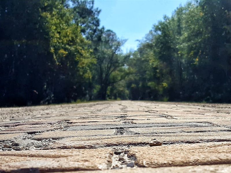 Best Time of Year to Visit