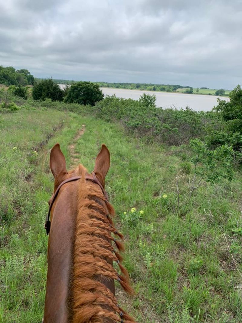 Miles of Trails for Hikers and Riders